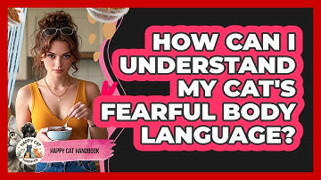 How Can I Understand My Cat