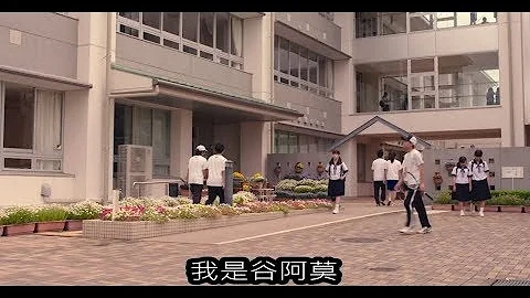 #617【谷阿莫】5分鐘看完2017又是個音樂的電影《春&夏事件簿》 - 天天要聞