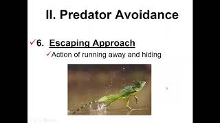 Lecture 12: Predation: Defense and Escape