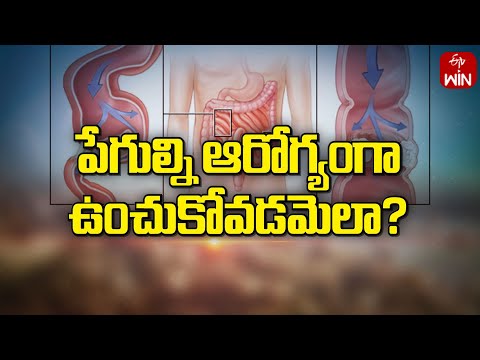 Protect your Gut Health  | Sukhibhava | 30th Nov 2024 | ETV Life