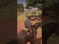 RDR2 Funny Moments #rdr2 #gaming #memes #streamer #funny #horse #live #love #music #reels #shorts