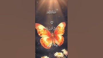 سورة ق.  إسلام صبحي.  #قرآن #المصحف #راحة_نفسية #تلاوات #fyp