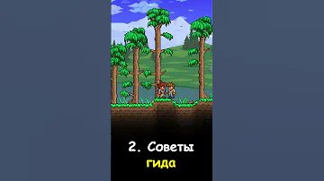 TERRARIA - ЧТО СКРЫВАЕТ ГИД?!