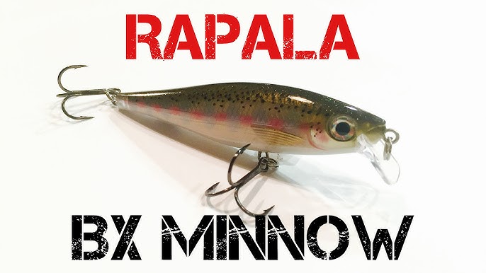 Rapala® BX™ Minnow & BX™ Swimmer 