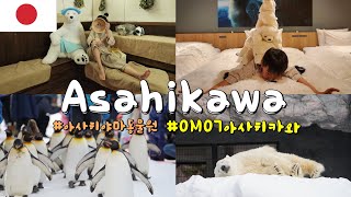 홋카이도 아사히카와여행 OMO7 북극곰방,아사히야마동물원까지 안가면 후회할걸~