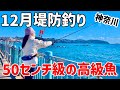 突然騒がしくなった堤防で、ルアーに喰い付いた大物の正体は!?【神奈川釣り】【2025.12】