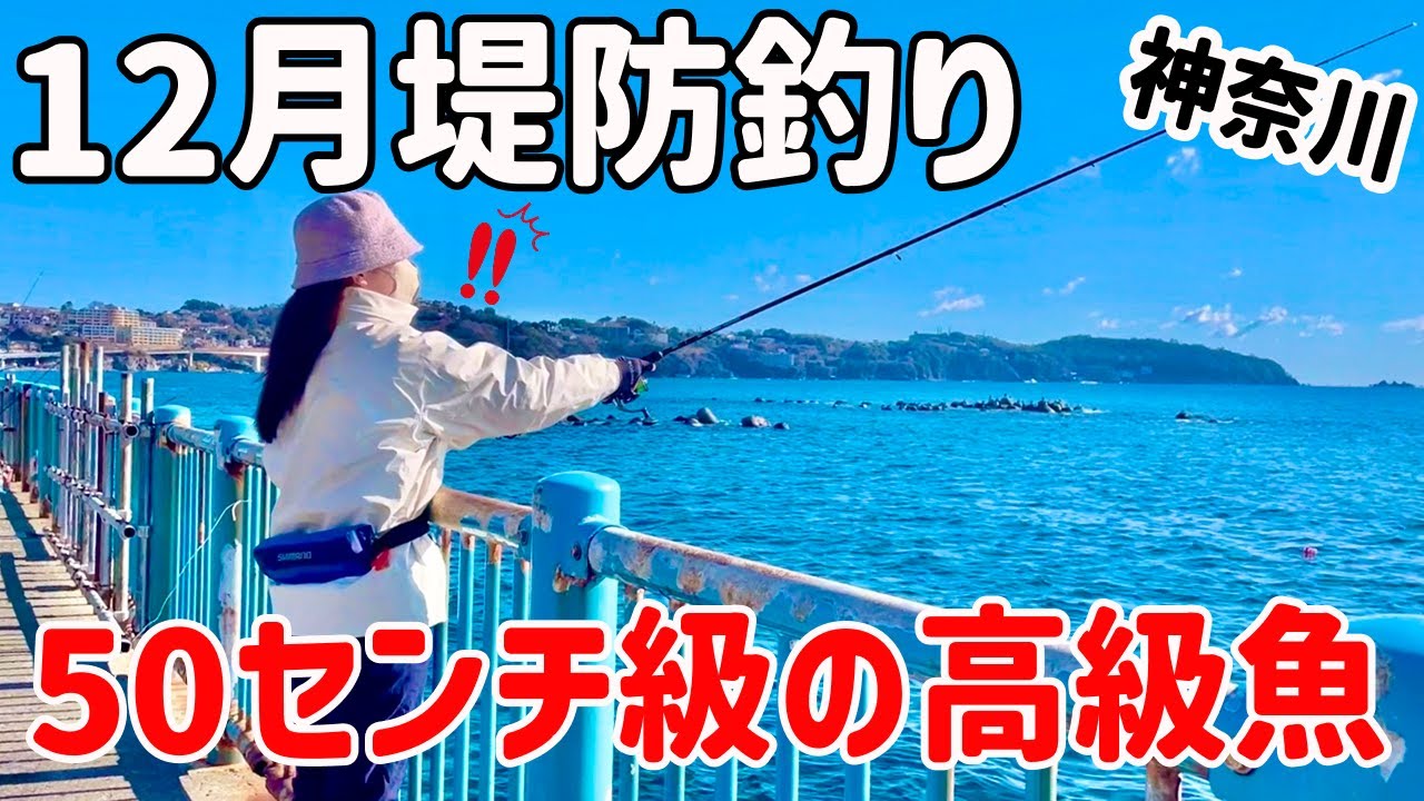突然騒がしくなった堤防で、ルアーに喰い付いた大物の正体は!?【神奈川釣り】【2025.12】