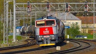 Vlaky Krasíkov (staré nádraží) - 7.4.2024 / Trains in the Czech Republic