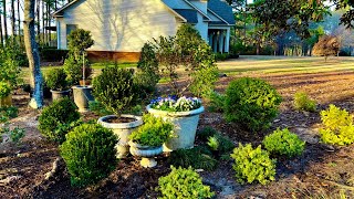 Afternoon (Almost Spring!) Garden Walkabout// Driveway Bed Update//MY SOUTHERN GARDEN