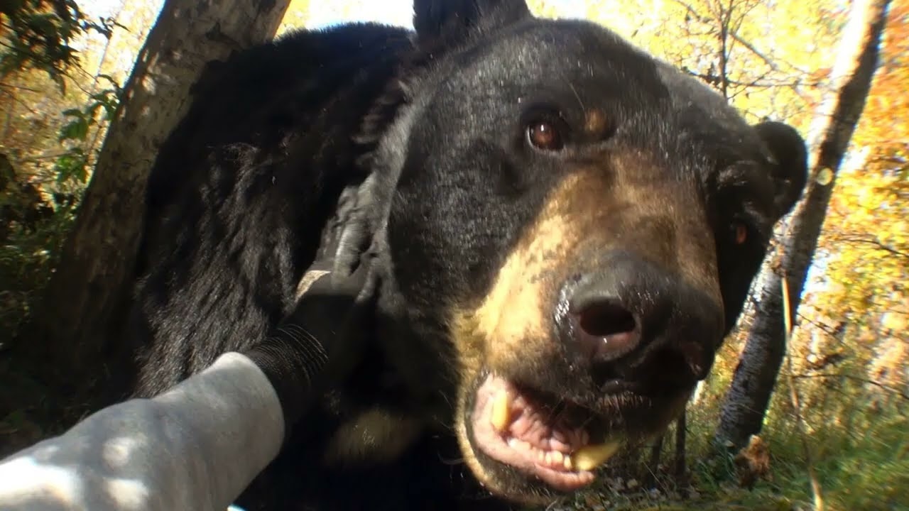 Joji - Past Won't Leave My Bed (1 Hour Loop)