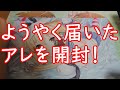 【艦これ】ようやく届いたアレを開封【フィギュア】