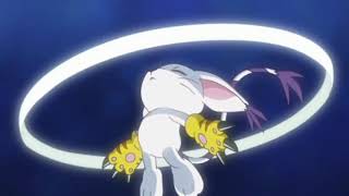 Digimon Adventure 2020 Patamon & Tailmon Digivolves (Brave Heart)