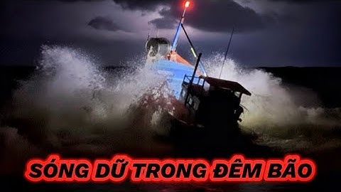 Sóng Bão Bất Ngờ Cao Nguy Hiểm! Ghe Lưới Xù Thành Trung 2 Cập Cảng La Gi Với Nhiều Tạ Cá Cờ Mắc Tiền