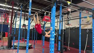 Cre8Ive Beast Linking 6 Laches