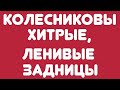 Колесниковы// Хитрые, ленивые задницы// Обзор стримов//