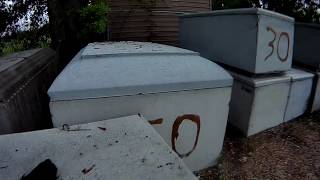 Inside a concrete grave box