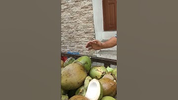 Coconut fast cutting with sharp Machete  #shorts #streetfood
