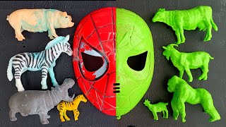 19. Cleaning Up Muddy Animals - Pig, Zebra, Hippopotamus, Cow, Goat, Gorilla screenshot 4