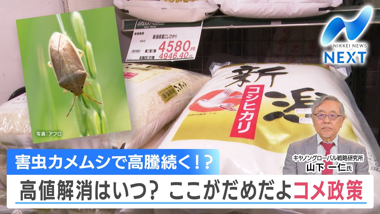 害虫カメムシで高騰続く!? 高値解消はいつ？ ここがダメだよコメ政策