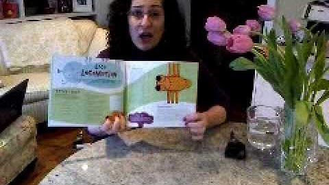 How Do Flies Walk on the Ceiling? A Peek inside The Insecto-Files