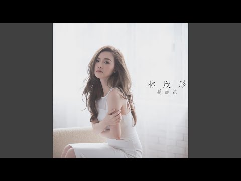 懸崖花 auf YouTube ansehen 懸崖花 auf YouTube ansehen