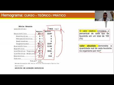 CURSO DE INTERPRETAÇÃO DE HEMOGRAMA | PARTE 02 (LEUCOGRAMA)