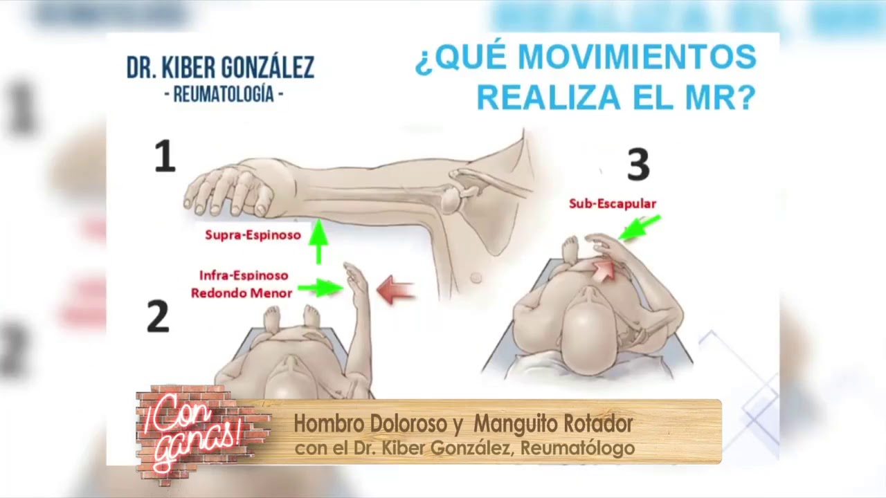 dolores cannon Manguito Rotador ¿Qué es y por qué duele?