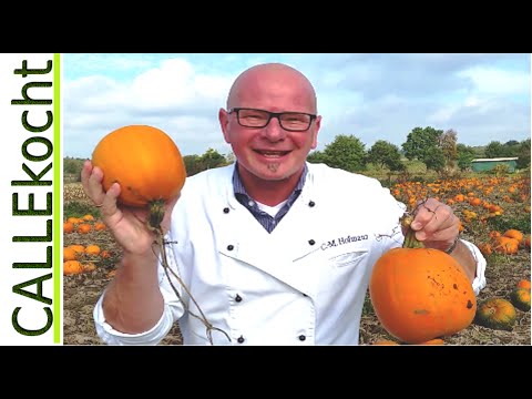 HERBSTZEIT ist auch KÜRBISZEIT. Hier werden bei mir TRADITIONELL viele MAHLZEITEN mit KÜRBIS als ZUT. 