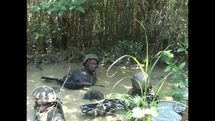 Welcome to the Jungle Marines!  JWTC (Jungle Warfare Training Center)
