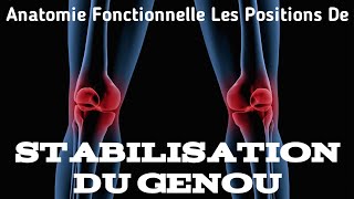 anatomie fonctionnelle les positions de stabilisation du genou