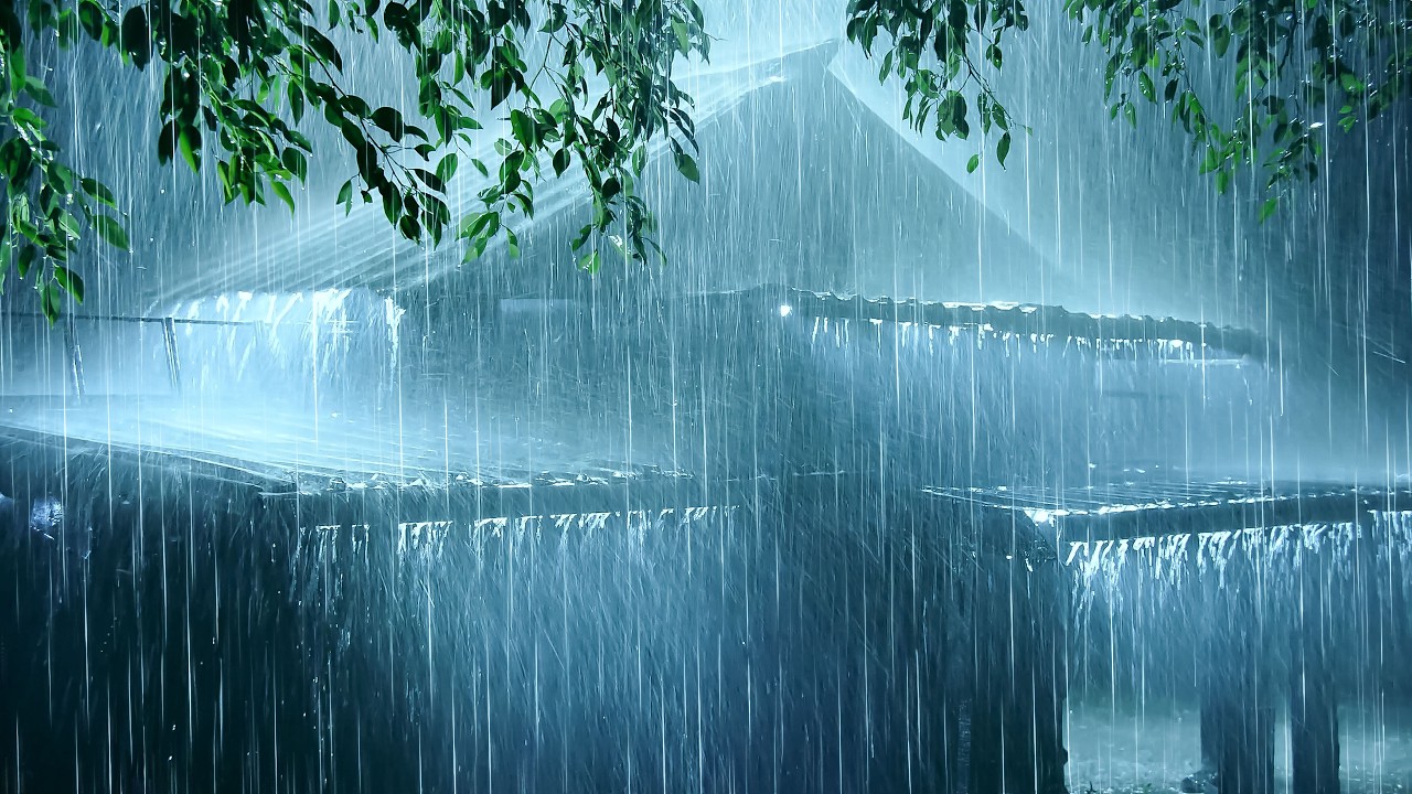 Lull into Deep Sleep with Heavy Rain on Tin Roof & Intense Thunder in the Forest at Night