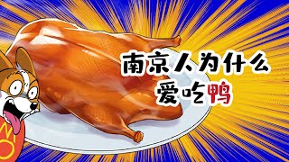 【小魔】南京人为什么爱吃...鸭？