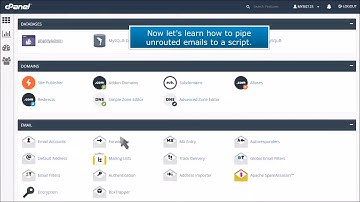 cPanel: How to Pipe Unrouted Emails to a Specific Script