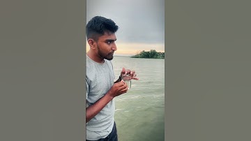 Thumbnail of Nature Sounds 🍃🌿🎼