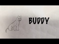 Buddy by pomelo drive elementary