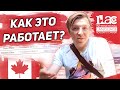 Языковые курсы в ILAC, как это устроено? | Мой опыт учебы в Канаде