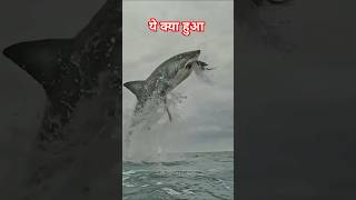 power of transformation🐳|| #shorts #fish #youtubevideo #cutefish