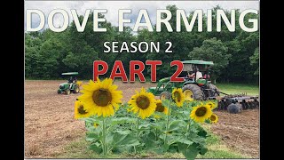 Planting Clearfield Sunflowers & Brown Top Millet for Doves | DOVE FARMING| S2 PART 2