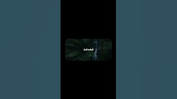 ‎فَمَن زُحزِحَ عَنِ النّارِ وَأُدخِلَ الجَنَّةَ فَقَد فازَ | محمد صديق المنشاوي | سورة آل عمران