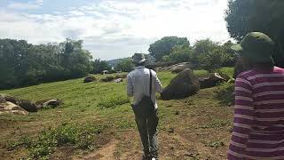 Sanaane National Park, Lake Victoria, Mwanza, Tanzania
