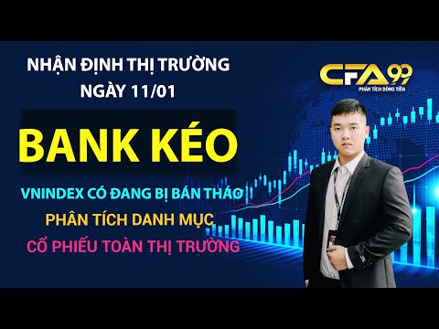 Nhận Định Thị Trường Chứng Khoán 11/1: Vnindex Kéo Bank Để Xả Thị Trường? Phân Tích Cổ Phiếu