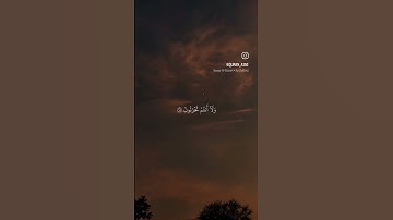 #قرآن #quran #تلاوات #راحة_نفسية #ياسر_الدوسري #تلاوة_خاشعة