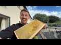 ITS HERE! Taste Testing the Honey from our £5,000 Bee Empire! 🐝🍯