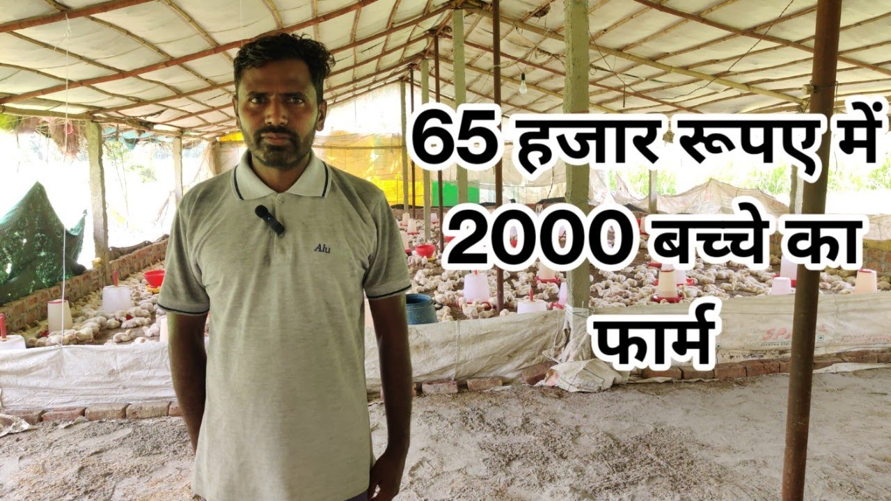 У меня было меньше денег, но я все равно построил птицеферму?