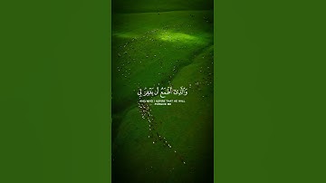 الذي خلقني فهو يهدين القارئ اسلام صبحي 🍂🎧 تلاوة خاشعة قرآن