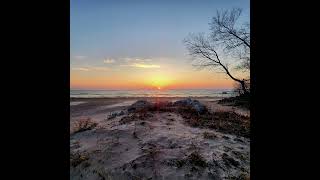 Sheboygan Area Weekend Whassup - 3-21-2025