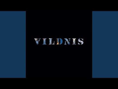 Vildnis — Hun Sagde