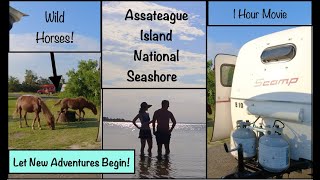 Scamp @ Assateague Island Nat Seashore BUGS/ Maryland / 1 Hour Movie / Let New Adventures Begin