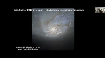 CITA 973: Testing Galaxy Formation Models with Large-scale Surveys of the Milky Way Stellar Halo