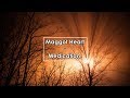 Maggot Heart - Medication (Lyrics / Letra)